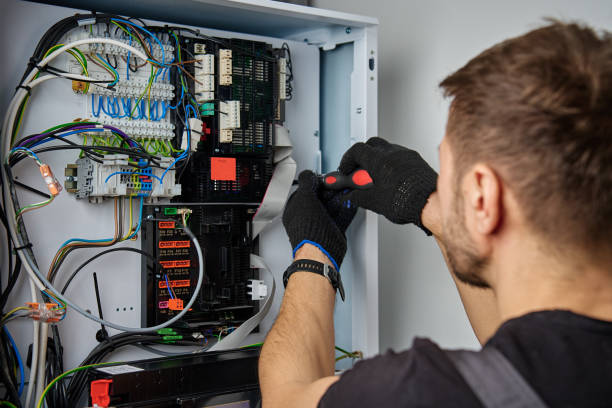 Licensed Electrical Panel Upgrade service in Capac, MI - No Joke electrician